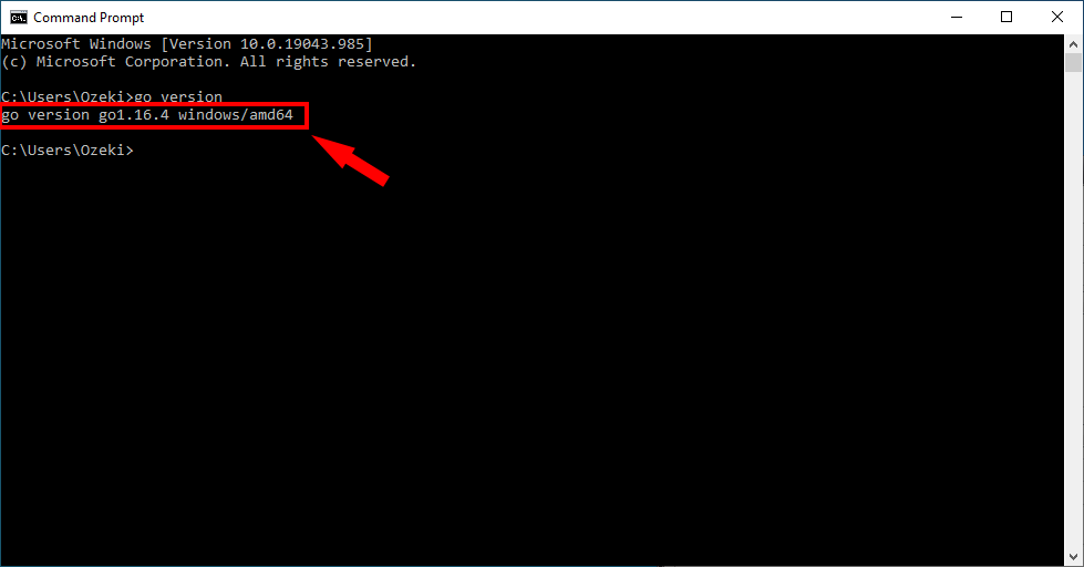how to test if go is installed
