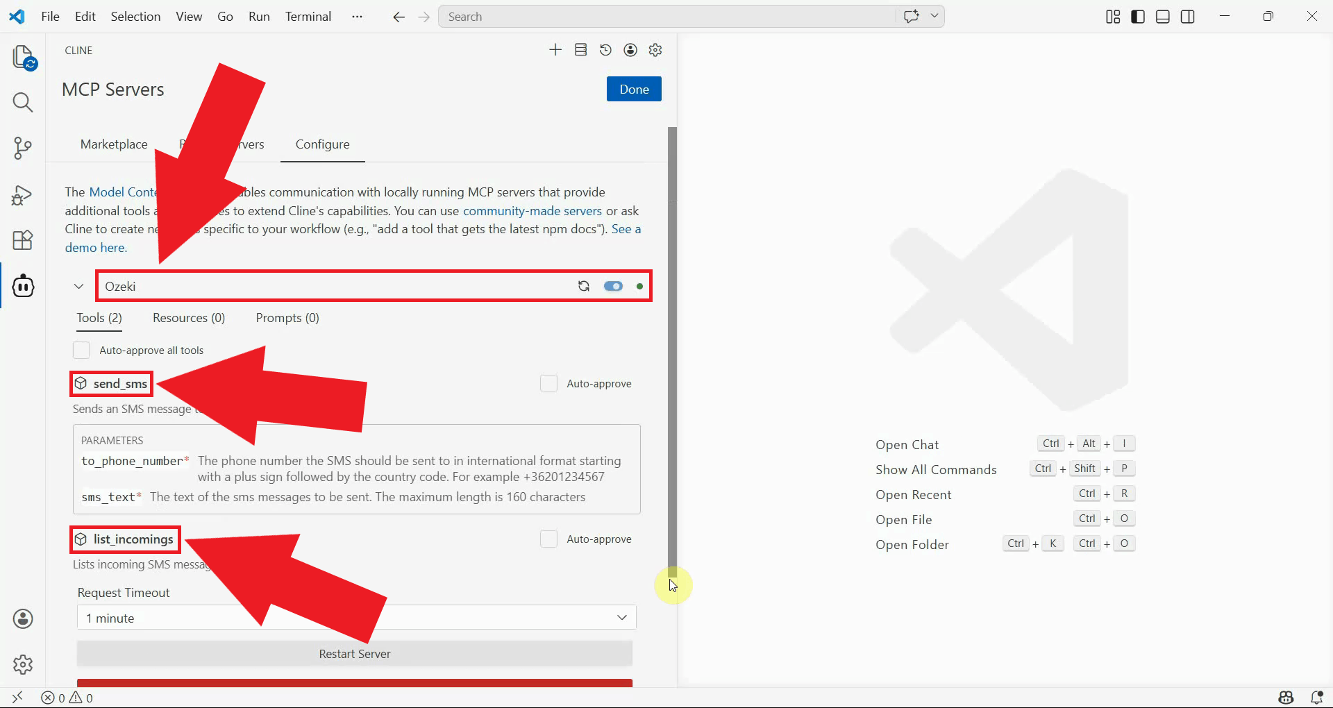 View connected MCP server and tools