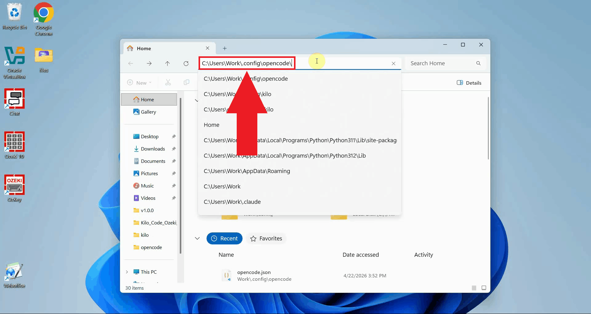 Navigate to OpenCode config folder