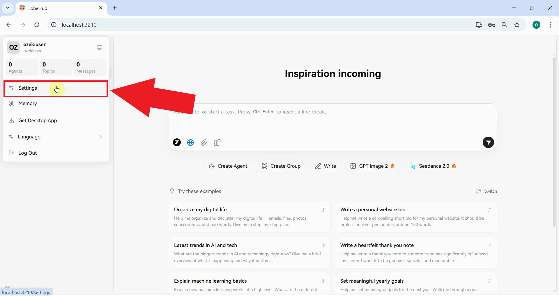 Open LobeHub settings