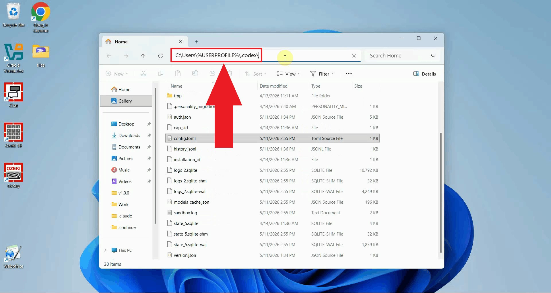 Navigate to Codex config directory